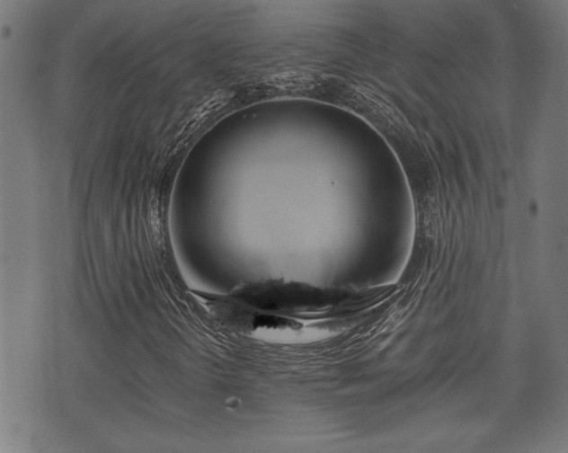 X0000071381298200606261403