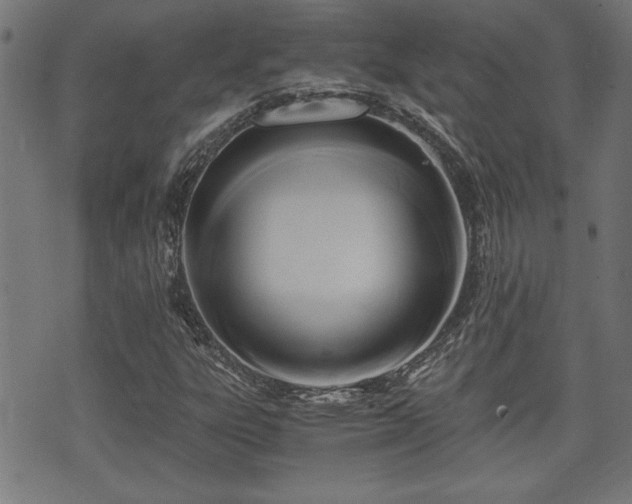 X0000071381303200606261403