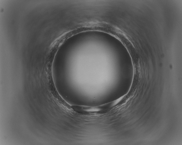 X0000071381304200606261403