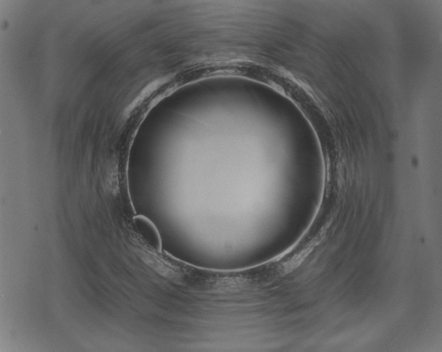 X0000071381306200606261403