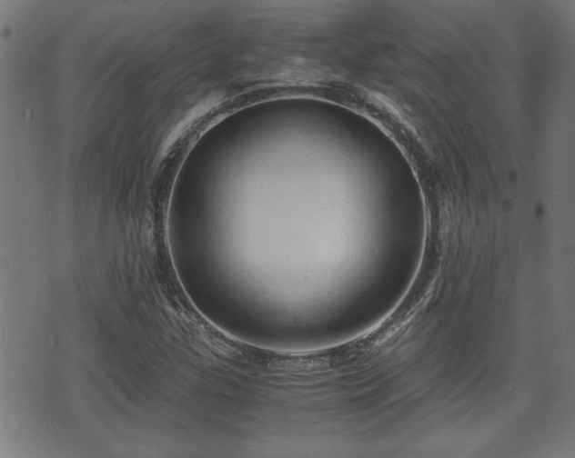 X0000071381307200606261403