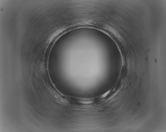 X0000071381308200606261403