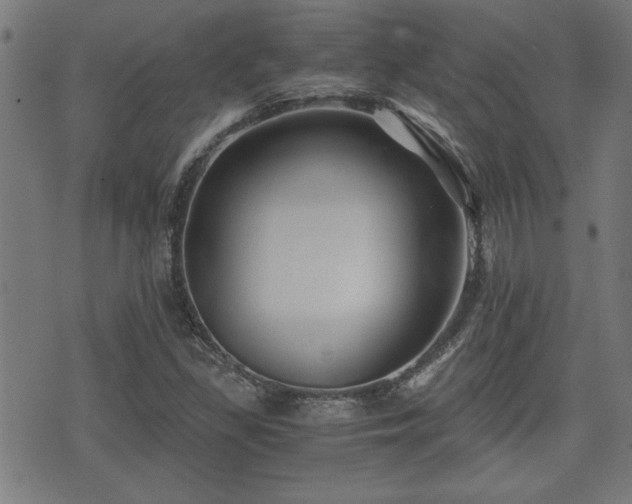 X0000071381309200606261403