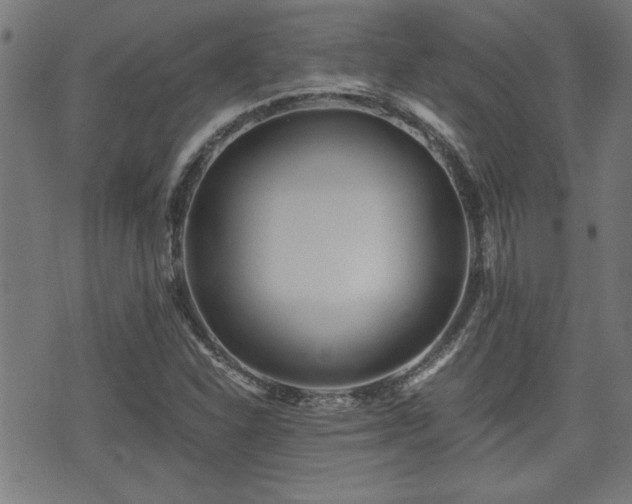 X0000071381310200606261403