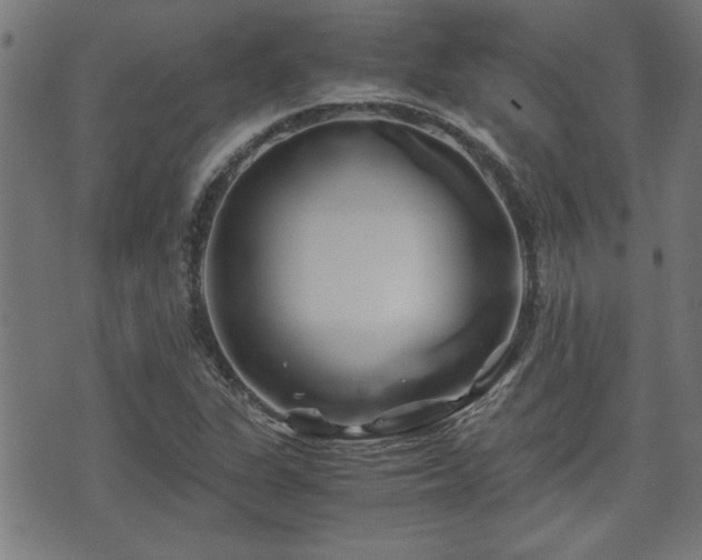 X0000071381311200606261403