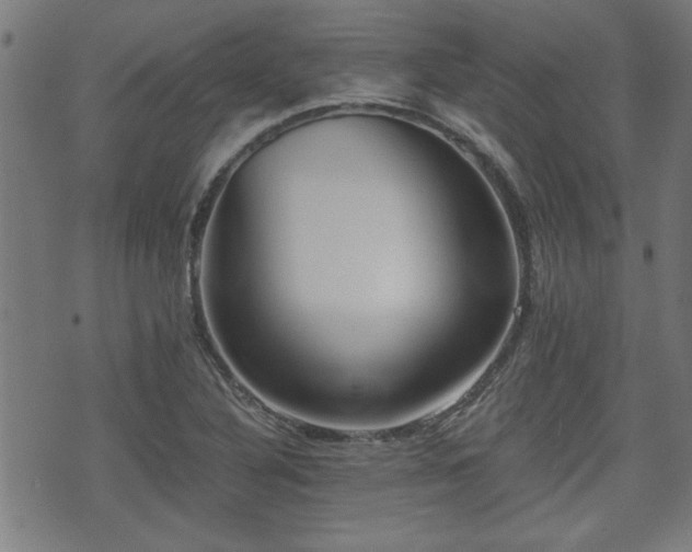 X0000071381316200606261403