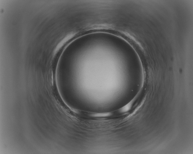 X0000071381317200606261403