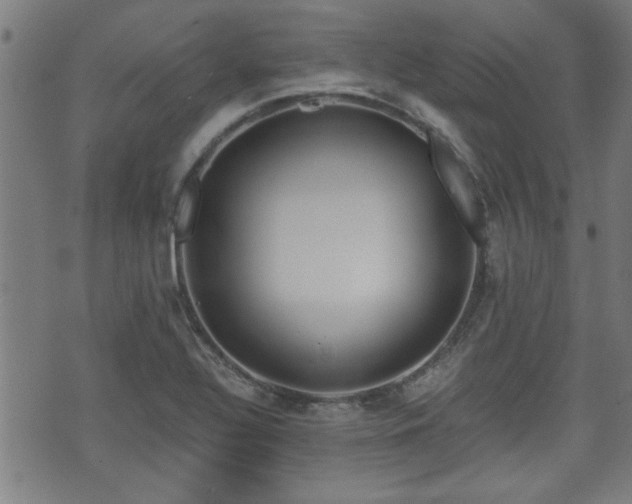 X0000071381320200606261403