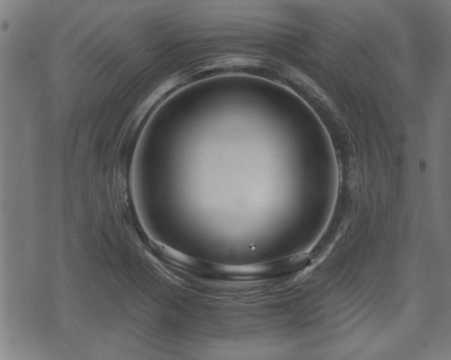 X0000071381321200606261403