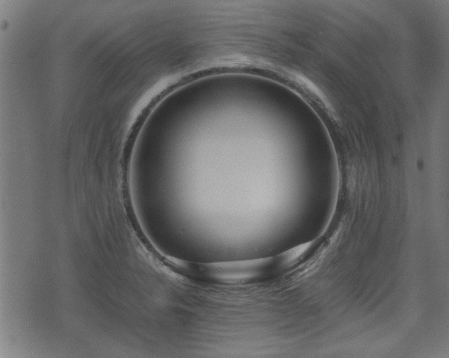 X0000071381326200606261403