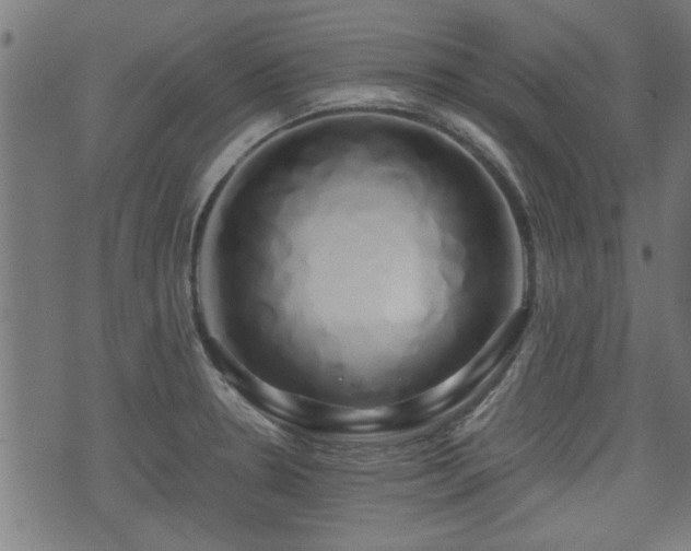 X0000071381330200606261404