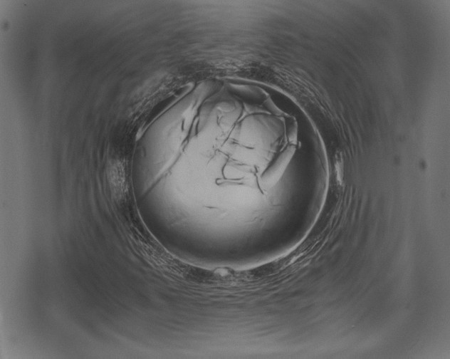 X0000071381347200606261403