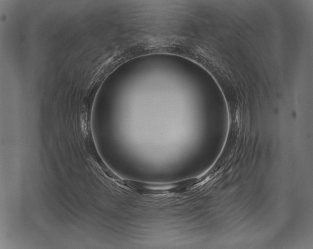 X0000071381348200606261403