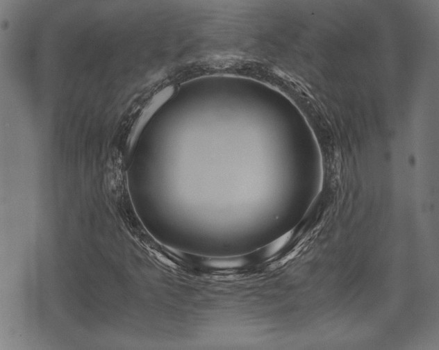 X0000071381349200606261403