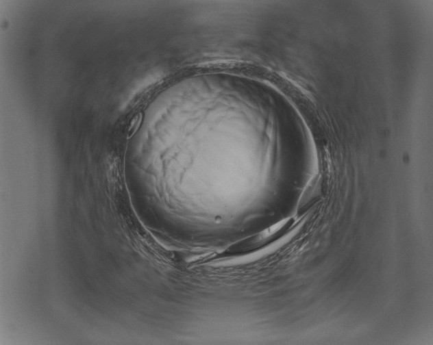 X0000071381351200606261403