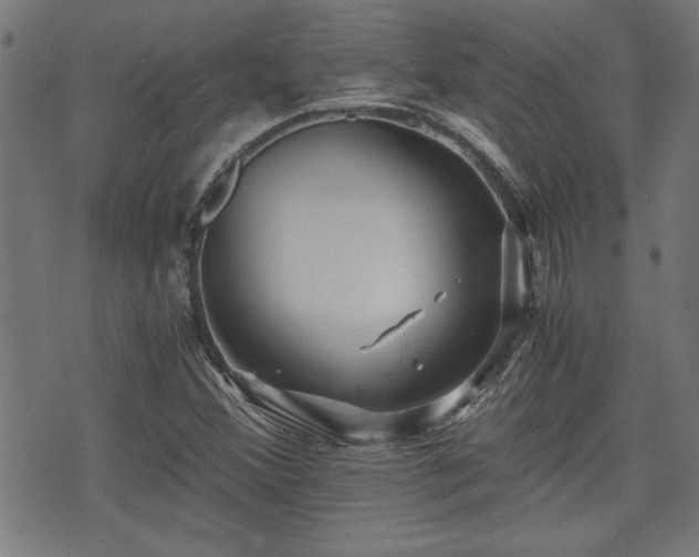 X0000071381356200606261403