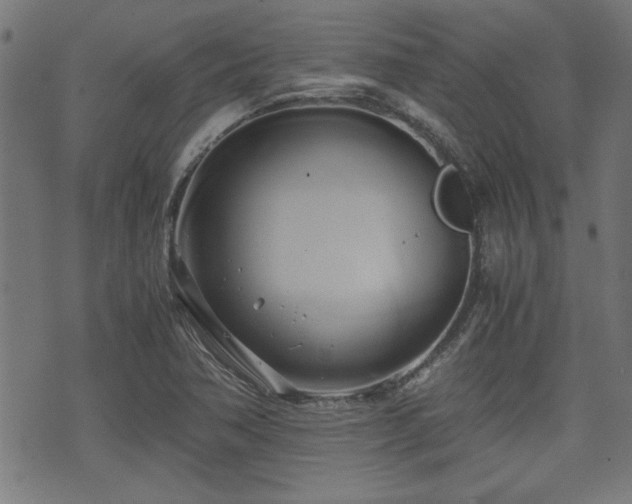 X0000071381362200606261403