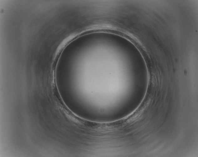 X0000071381366200606261403