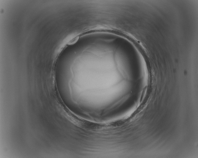 X0000071381367200606261403