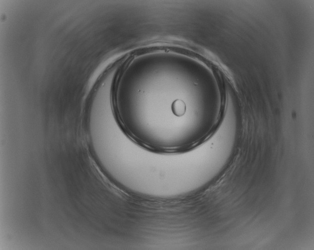 X0000071381368200606261403