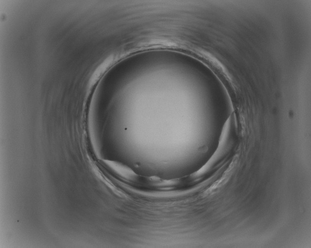 X0000071381373200606261403