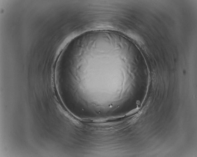 X0000071381374200606261403