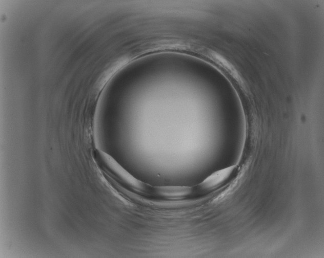 X0000071381377200606261402