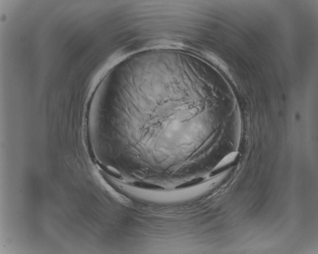 X0000071381379200606261402