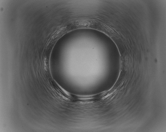 X0000071381394200606261401