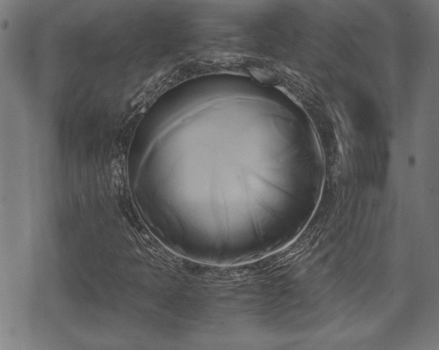 X0000071381397200606261401