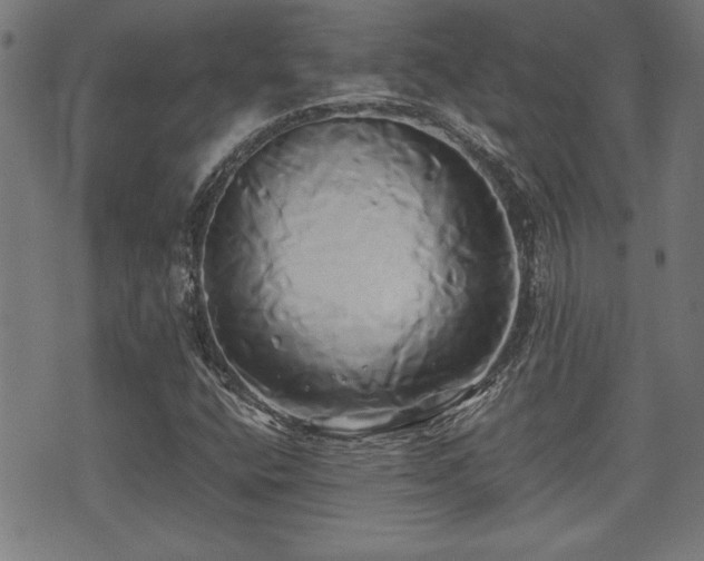 X0000071381400200606261402