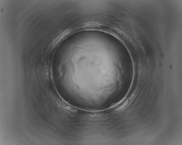 X0000071381401200606261402