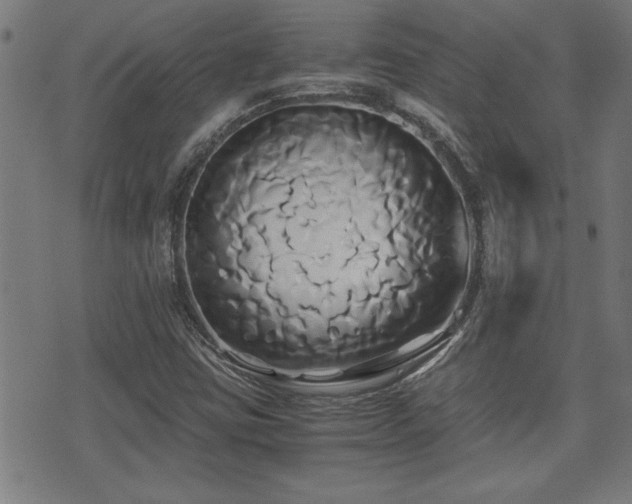 X0000071381403200606261402