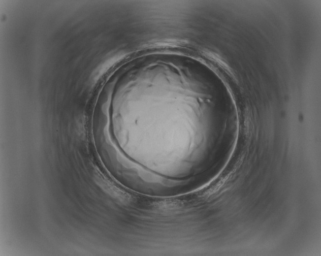 X0000071381404200606261402