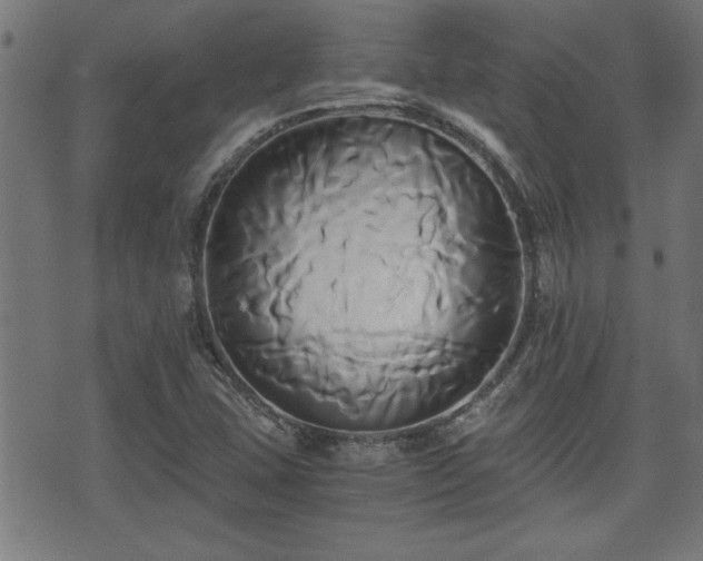 X0000071381407200606261402