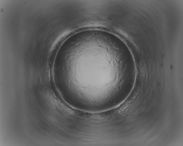 X0000071381408200606261402