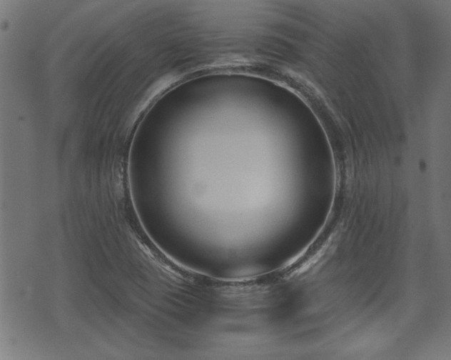 X0000071381409200606261402