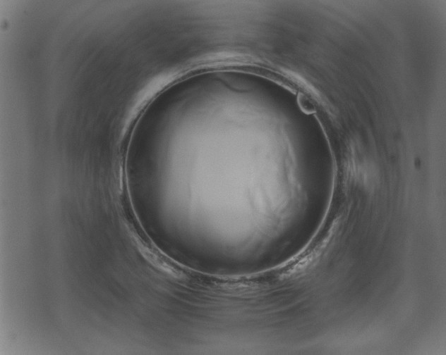 X0000071381413200606261402