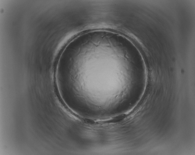 X0000071381416200606261402