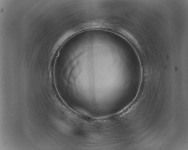 X0000071381419200606261402