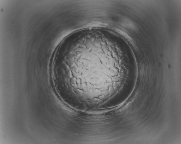 X0000071381423200606261402