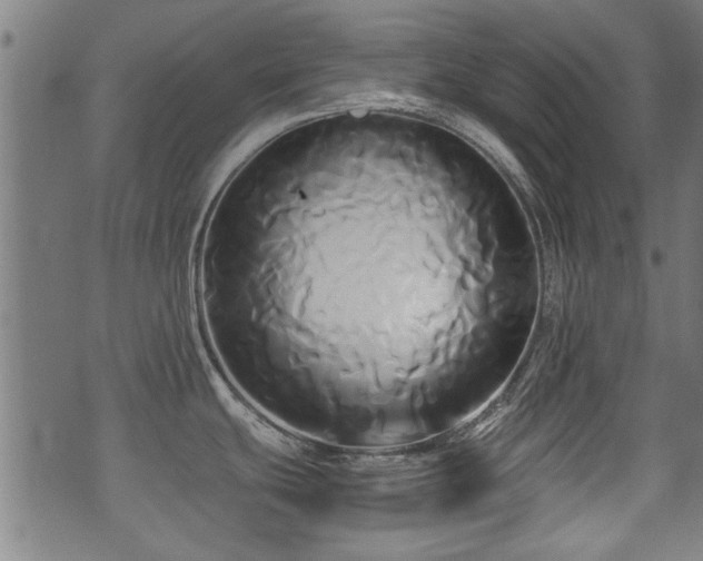 X0000071381439200606261402