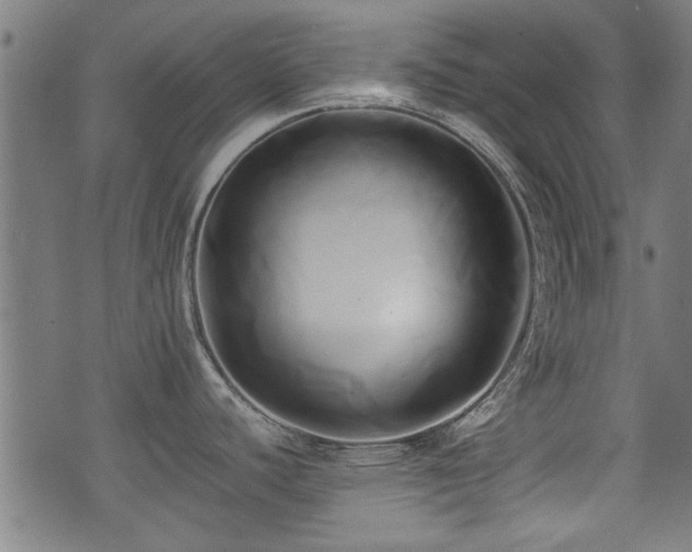 X0000071381440200606261402
