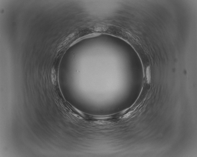X0000071381443200606261401