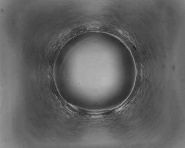 X0000071381445200606261401