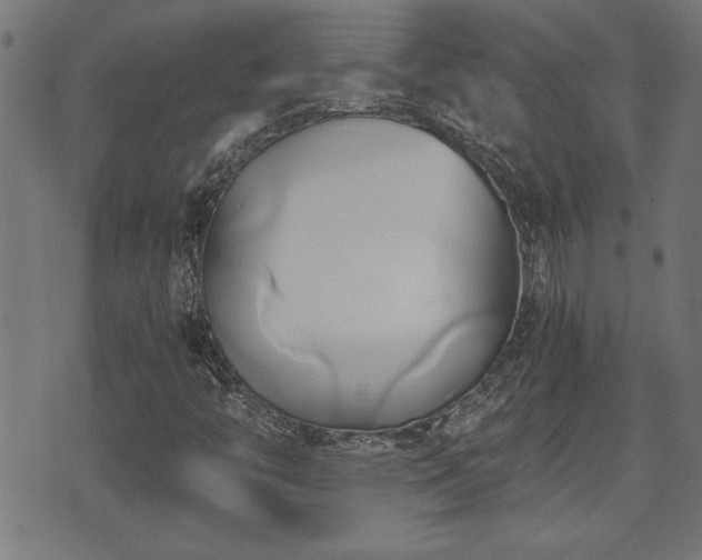 X0000071381446200606261401