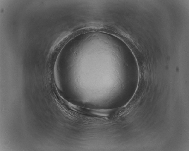 X0000071381448200606261401