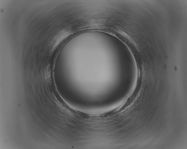 X0000071381450200606261401