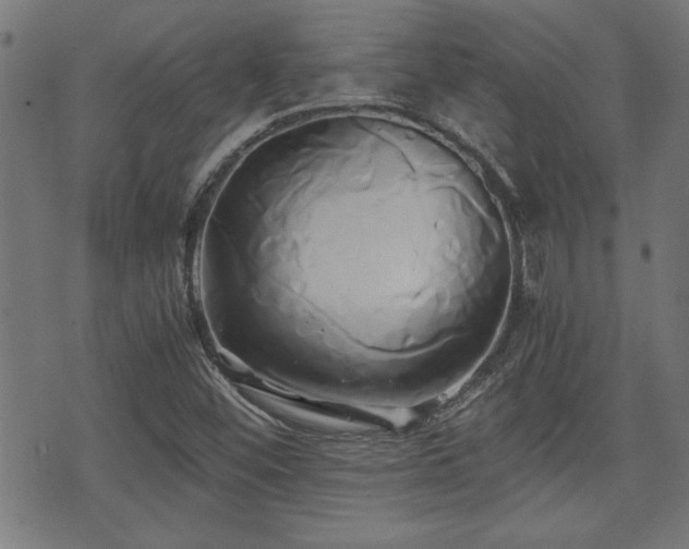 X0000071381452200606261401