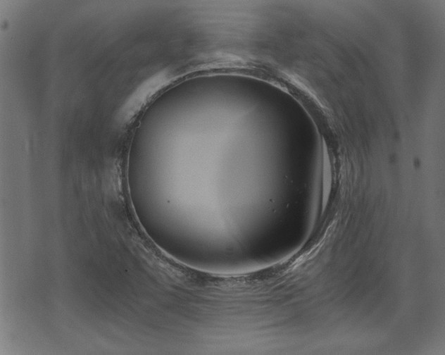 X0000071381455200606261401